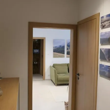Hikers Nest Apartment